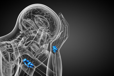 人类腕骨的3d渲染图