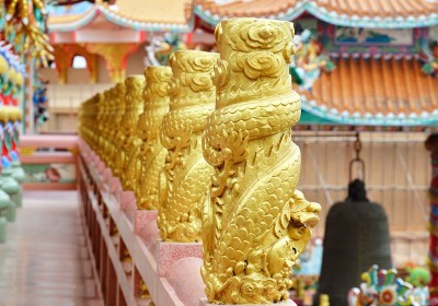 金龙极
