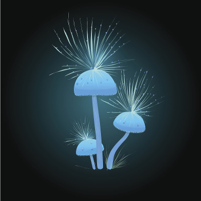 奇异的亮蓝色蘑菇。