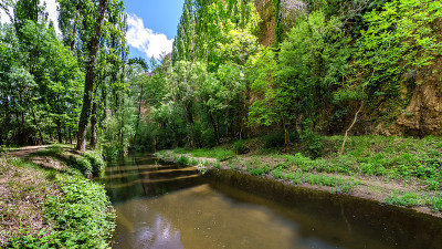 有淡水、溪流和开花植物的绿色景观。