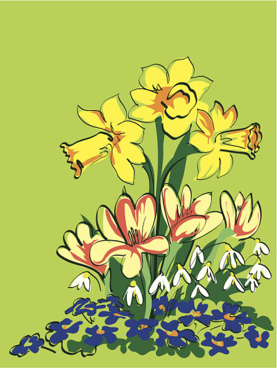 鲜花01