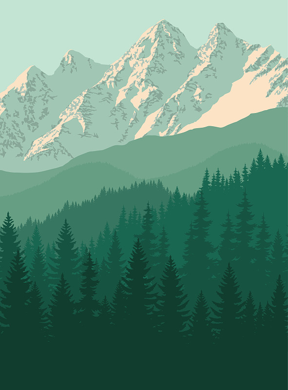 落基山脉林地中的向量山