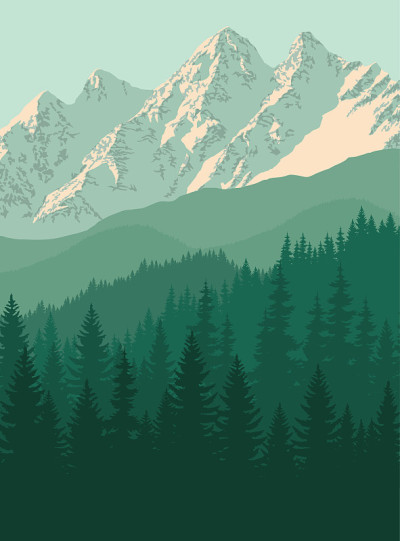 落基山脉林地中的向量山
