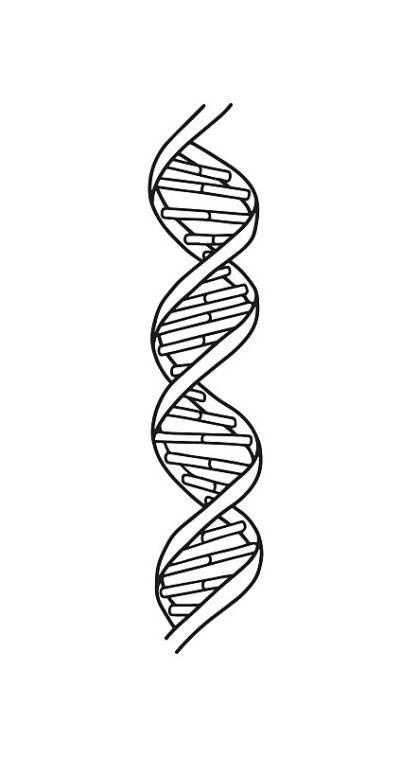 DNA图标矢量。