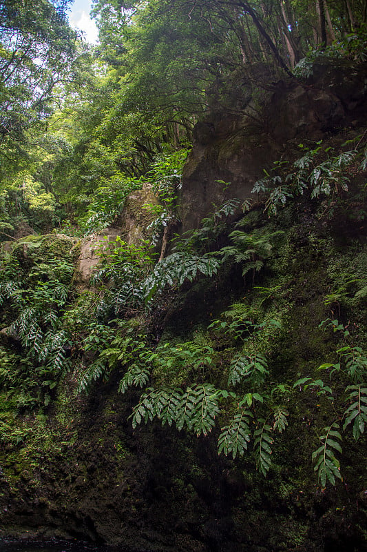 在亚速尔群岛的SAO miguel岛，漫步并发现怀孕的萨尔托瀑布