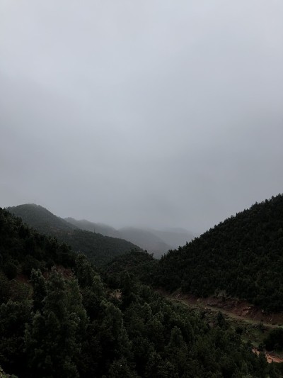 伊姆利尔