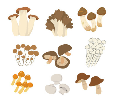 Edible mushroom platter set