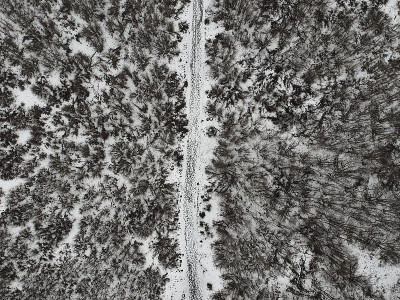 雪中的小径