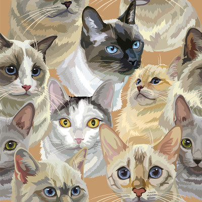 矢量无图案彩色逼真猫头