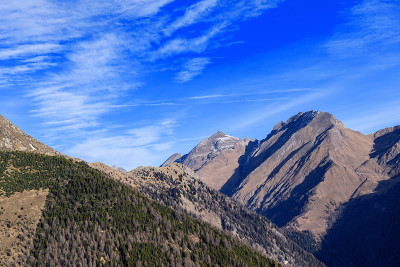 山