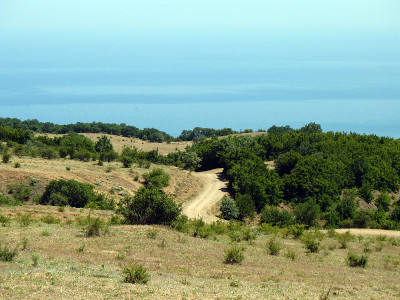 路