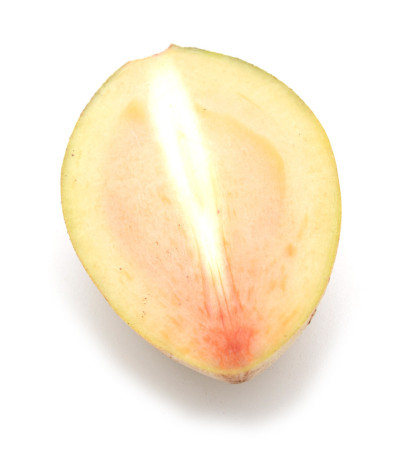 Sapota。Mame、能源