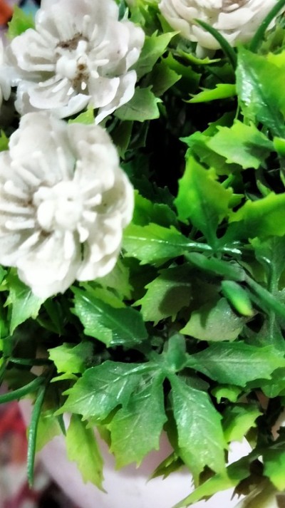 棉兰的青花，市场4号