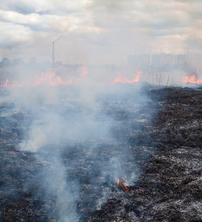 城市附近的田野着火了