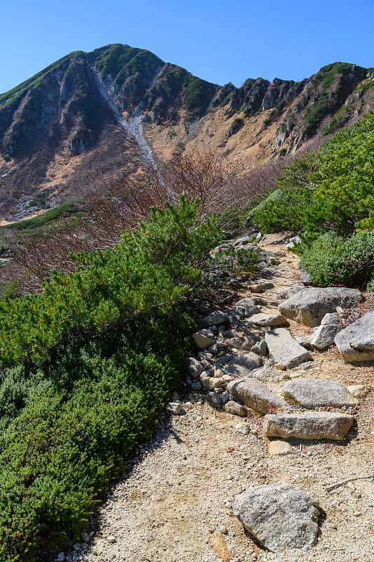 深秋的kisokomagatake山