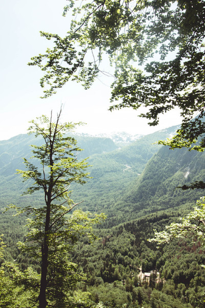 斯洛文尼亚的Bohinj和周围的山脉
