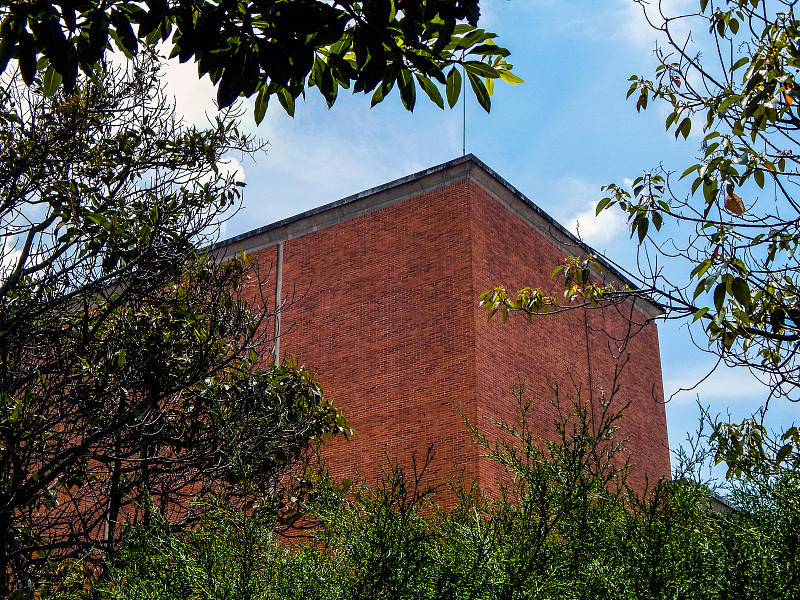 红砖学校建筑之间的树和蓝天的背景