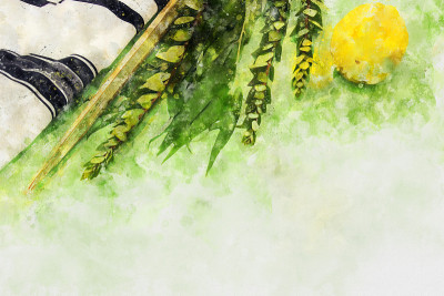 犹太住棚节的水彩画风格和抽象形象。传统符号(四种):Etrog, lulav, hadas, ara