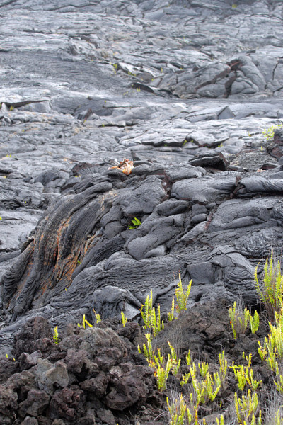 夏威夷火山国家公园，美国