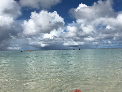 美丽的海
