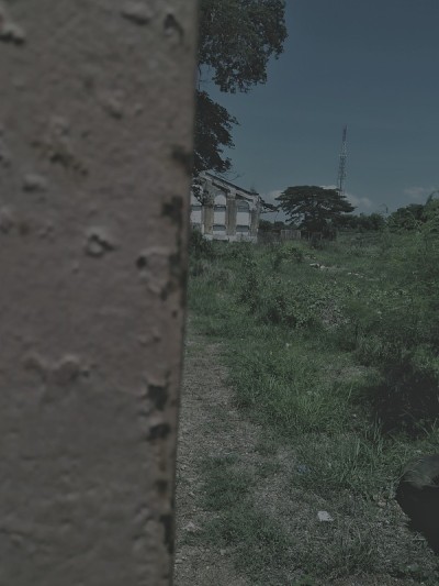篱笆对面的旧建筑