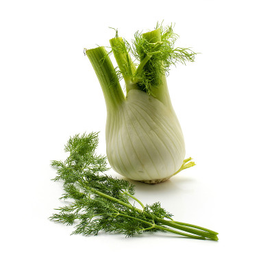 茴香孤立