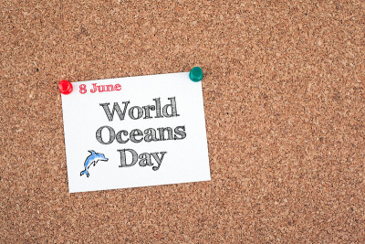 6月8日世界海洋日。软木板上的便利贴
