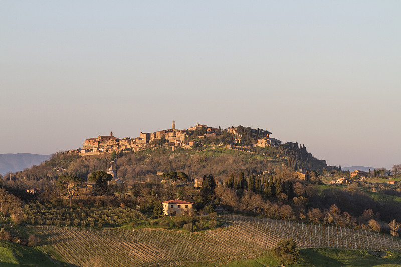 Montepulciano预览效果