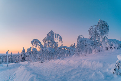 夕阳下的雪景，芬兰拉普兰冬天结冰的树木