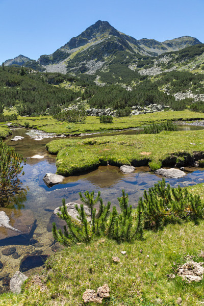 保加利亚皮林山Valyavitsa河和Valyavishki chukar峰的夏季景观