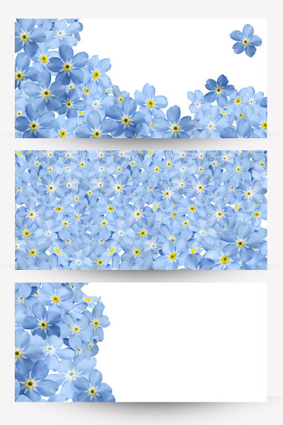 forgetmenot横幅