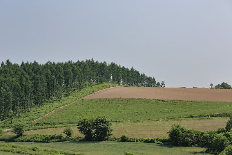 日本北海道美丽的景色