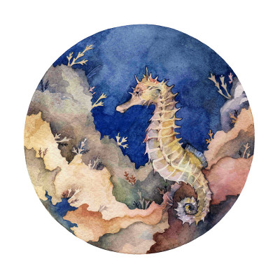 珊瑚礁上的海马。水彩水下插图在白色的背景圆圈