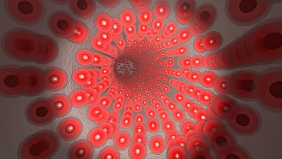 移植物中流动的红细胞的内窥镜图