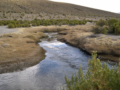 Bolivian altiplano