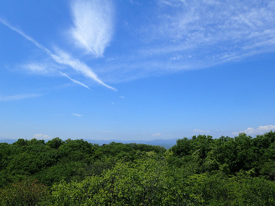 Noyamakita-Rokudoyama公园- Musashimurayama,东京