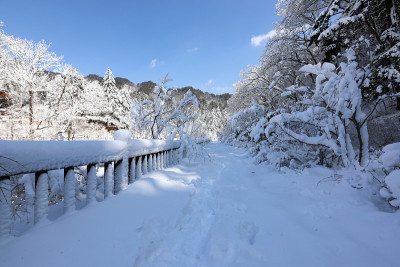白雪皑皑的冬天，森林道路和蓝天。(韩国江原道御田山国家公园)
