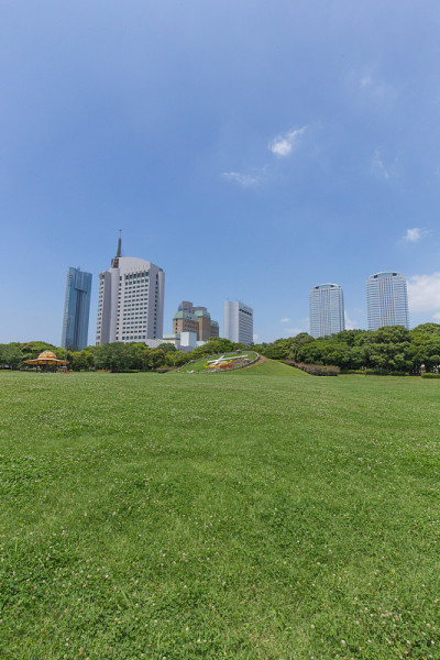 高楼林立，绿意盎然的公园
