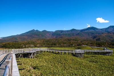 知子五湖和知子山秋叶高架木道，知子，北海道