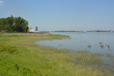 圣劳伦斯海岸线
