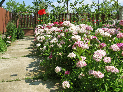 花装饰