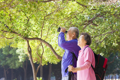 快乐的亚洲资深夫妇度假