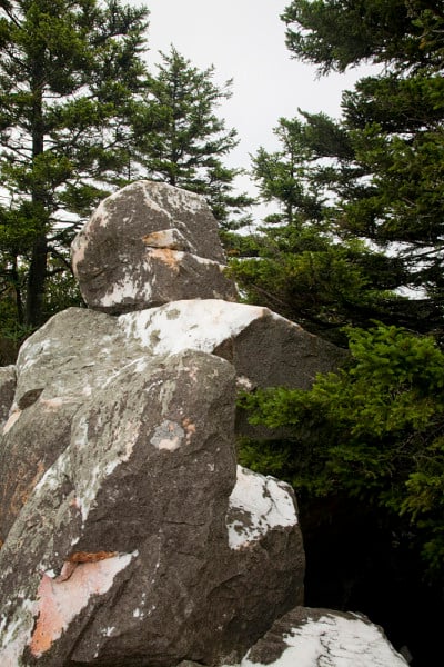 北卡罗来纳毗斯迦(Pisgah NF)闪光岩荒野区