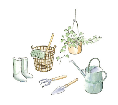 水彩园艺插图。