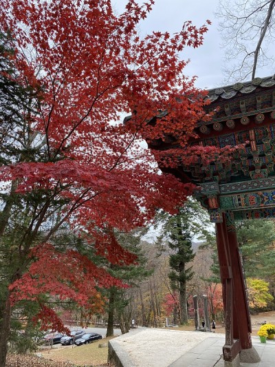 秋天