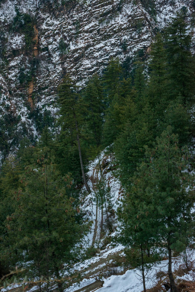 雪中的道路-雄伟的冬季景观在喜马拉雅山