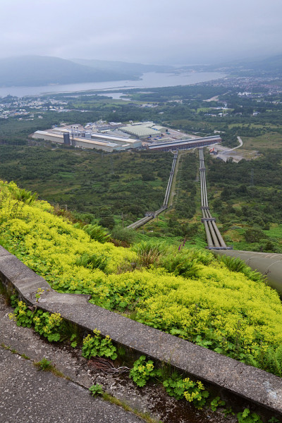 在阴天多雾的夏日里，水柱将水输送到威廉堡铝厂，背景是林河湖