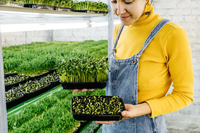 年轻的女农民在她的农场种植微型蔬菜。