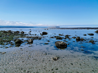 太平洋西北海洋海滩岩石和海藻