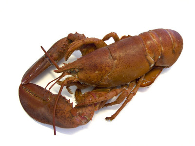 龙虾